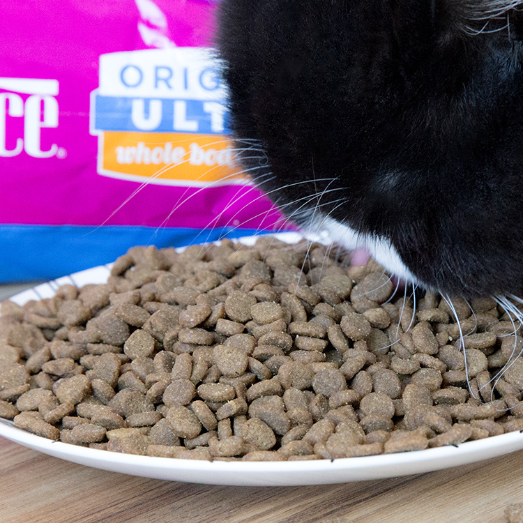 可 包 原装 天 衡 宝 雪山 特级 全 猫粮 鸡肉 鱼 15 磅 成 幼 猫 主粮 - Cat Staples royal canin cho mèo con