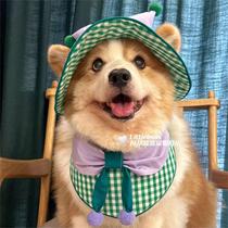 Corgi Bobo green and white plaid cute medium and large bib mouth towel hat set Shiba Inu Golden Retriever Labrador
