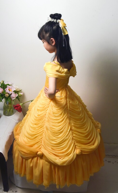 Chinese Handmade Exclusive Hand-Woven Rose Palace Version Belle Princess Dress Cosplay Beauty and the Beast Dress