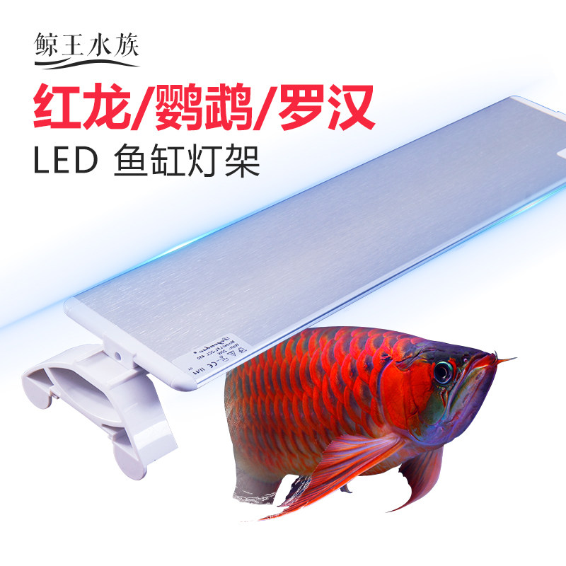 Fish tank lamp hanger Bright Red Dragon Fish Parrot Rohan Fish Special Bracket Light Aquarium Lighting ultra-bright-Taobao