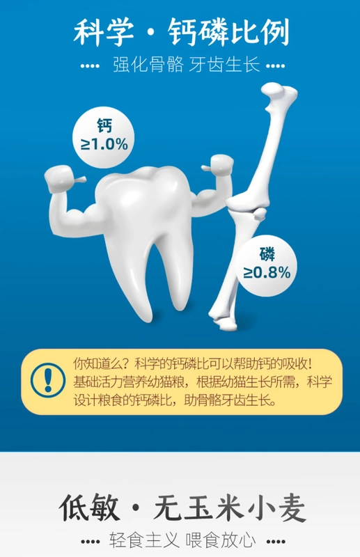 Phát triển Bao thức ăn cho mèo con mèo con EK30 Công thức sức sống 10kg Mèo con mang thai Nữ mèo Làm đẹp lông Tăng mỡ mèo Thực phẩm - Cat Staples
