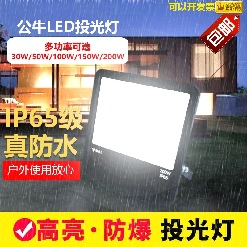 Bull Floodlight Outdoor Waterproof Spotlight LED 30W 50W 100W 150W 150W 200W Square Site Factory