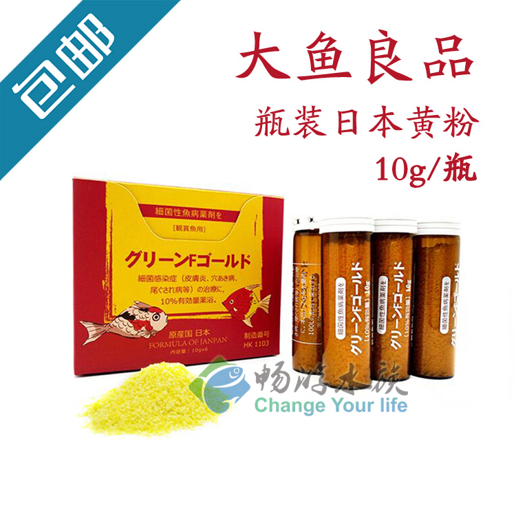 Large fish Liangpimo water ethnic yellow powder Japanese ornamental fish Rotten Flesh Trauma and Rotten Tail