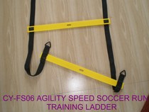 5steps footwork AGILITY SPEED LADDER for run skill training