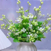 [1 бутылка] Цветочно-фруктовая зеленая бегония не поставляется с бутылкой, ее нужно сделать самостоятельно.