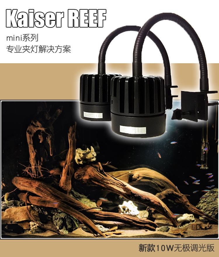 Kaiser Caesar native South American shaped rat fish tank Three lakes water grass turtle tank LED spot light clip light Tropical view