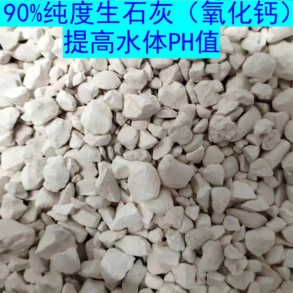 高纯度生石灰颗粒氧化钙提高水体PH值调节剂酸性溶液中和提高碱度
