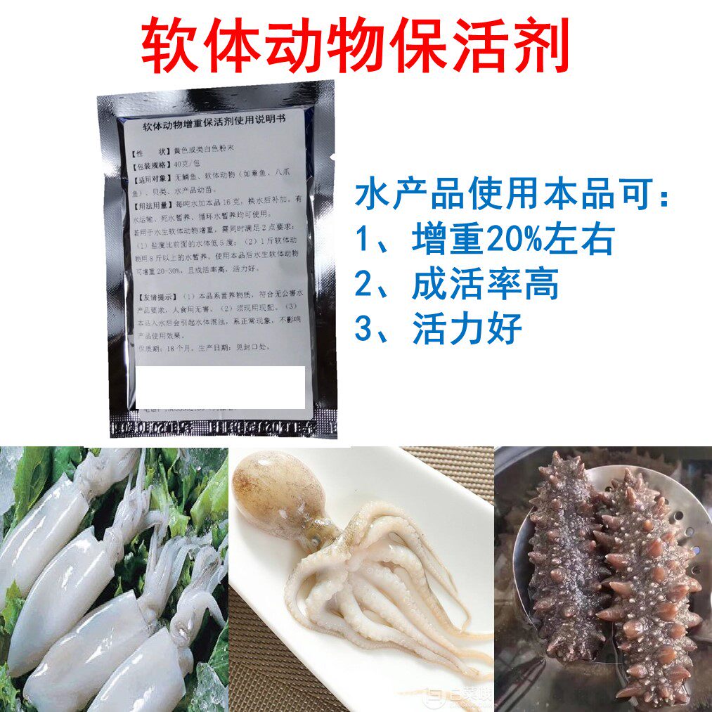 Live octopus octopus fast weight gain agent weight gain artifact soaked in water rises called water-absorbing swell scale life-saving agent with good vitality