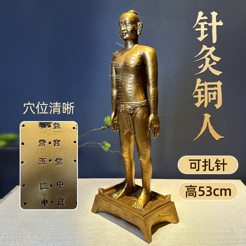 53 Acupuncture Points Copper Human Model Full Body Acupuncture Point Meridian Model for Large Clinics, Pharmacies, and Traditional Chinese Medicine Centers Decoration