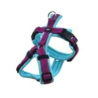 Синий, коллекция 2023