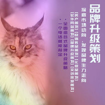 Professional copywriting editing plan planning brand story company business plan operation plan bPPT generation