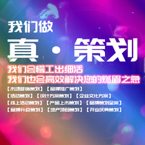 Investment promotion business plan brand activity promotion marketing planning plan report BPPT customization