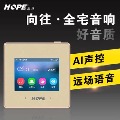 Hope Agnn для Q3 Voice Sound Control Host Music Player Player 86 -тип навыки играет Bluetooth Audio Smart Home