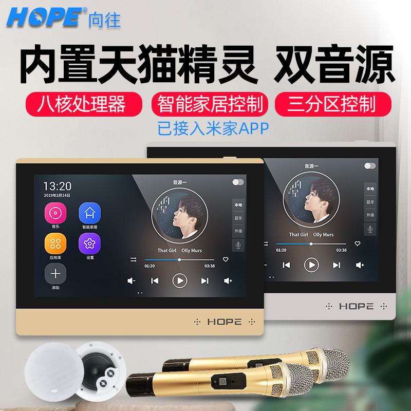 HOPE M9 Tmall Genie version background music Host system package WIFI ceiling audio Smart home