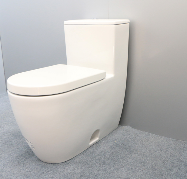 German Duravut one-piece style toilet 217301 one-piece toilet 006339 with slow down lid-Taobao
