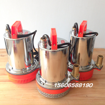 ZQB-12V24V48V DC small submersible electric pump water pump electric bottle car marine special submersible pump