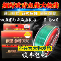 Carp Sturgeon Fishing Line Main Thread Subline German Import Nylon Thread Big Things Fish Line Giant Turgeon Fish Sturgeon Wire Black Pit