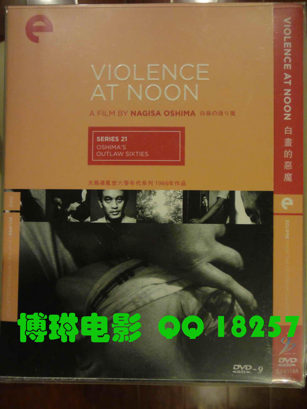 Nagisa Oshima: Devil of the Day