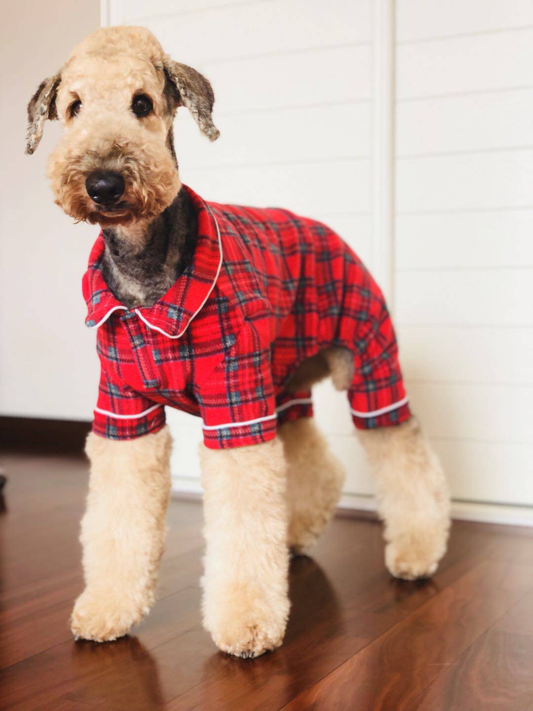 (Christmas Pets) Samo Dubinara Great dog clothes warm red grins with four-leggings and warm winter clothing