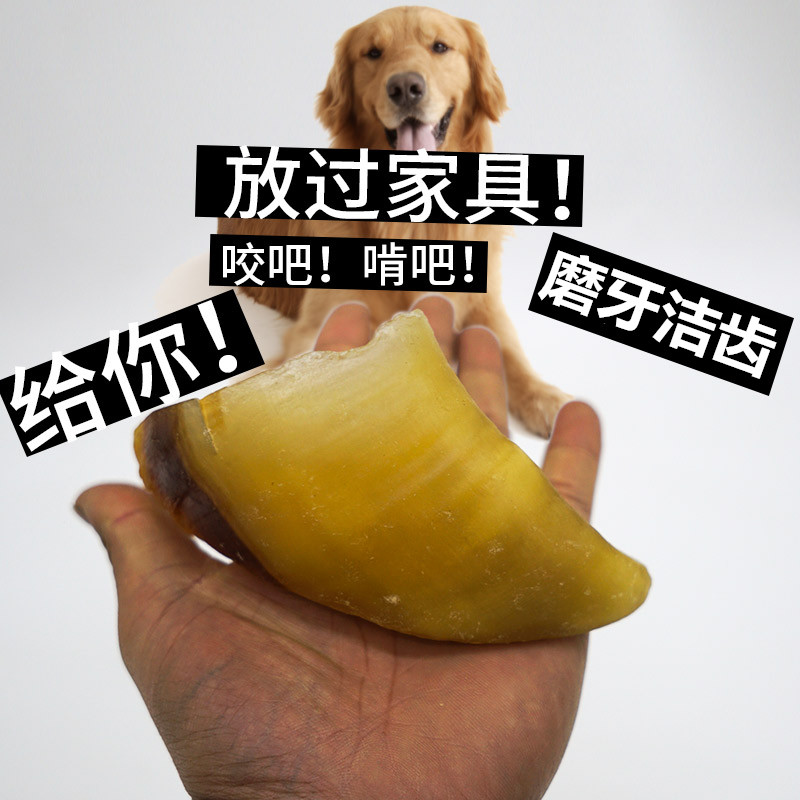 Bite-resistant pet bites large dog grindling natural cow hooves 1 catnip for detoxifying and down-fire snacks