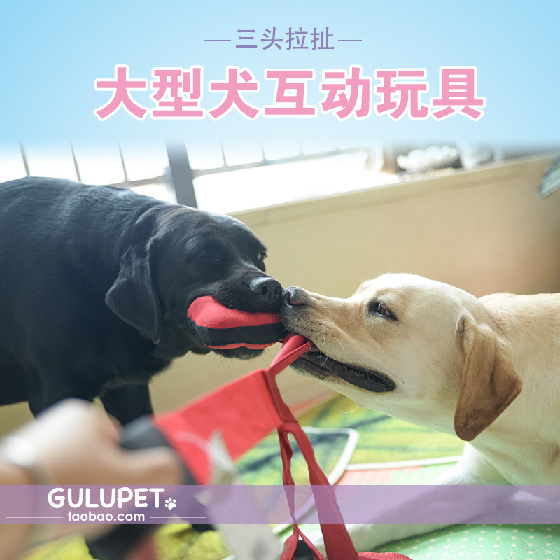 Pull Pet Dog Toy Fun Triple pull vocal vocal large dog toy Kim Mao Labrador Large Dog