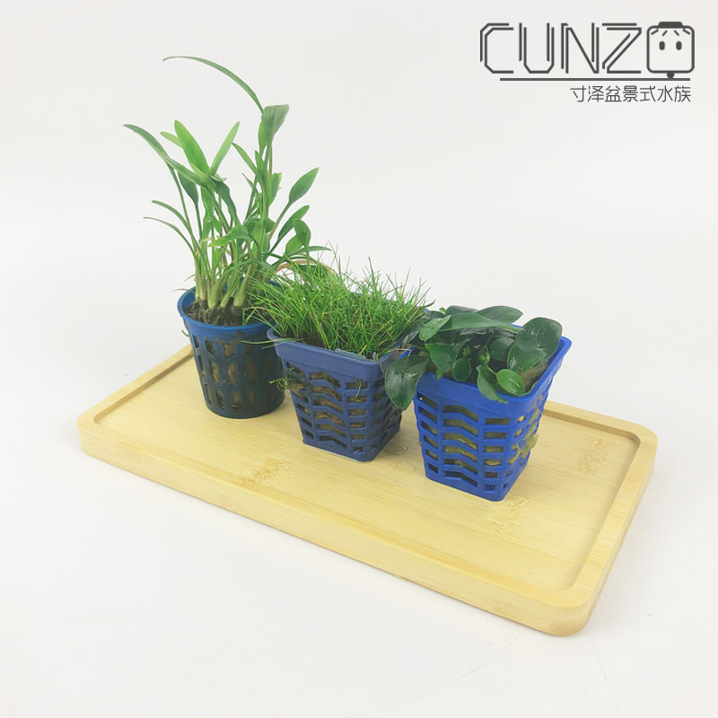 Living Water Grass Mini Water Banyan Mini Bull Fur Grass Thai Green Pepper Fish Tank Decoration Microcylinder Decoration