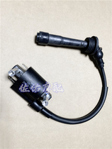 Small Young Lion Lion BJ250 High Pressure Pack Small Gold Peng BJ250-18 Ignition Coil High Pressure Pack Mounting Plate