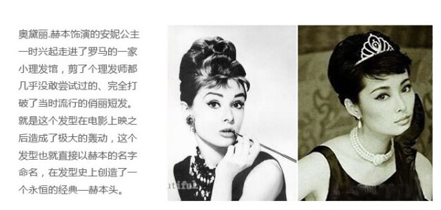 Extension cheveux - Chignon - Ref 229270 Image 6