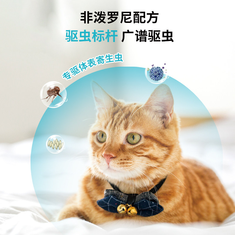 ️淘气猫投诉热线大公开！你知道吗？!