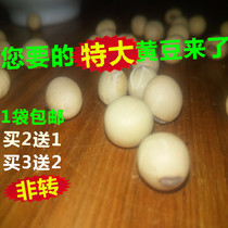 Buy 2 get 1 big soybeans big farm soybeans raw bean sprouts natural soybeans soy milk raw material 410g