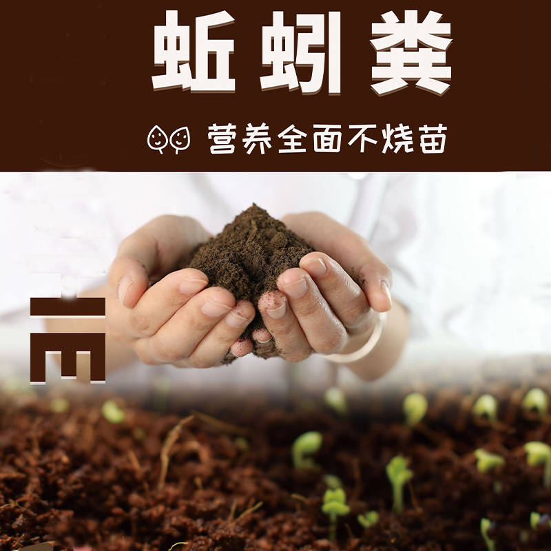 Pure earthworm feces fermented organic fertilizer fed earthworm beneficial vegetable fertilizer household nutritional soil