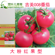 Jimei 008 tomato tomato seed seed big pink fruit type resistance to high temperature resistance low temperature resistance early maturity and high yield