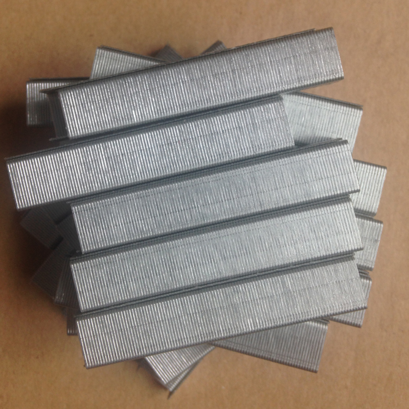 HG10 standard universal 10 staples High strength staples 5000 box nails Dafen research and creation shellfish