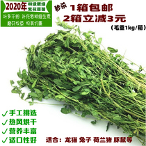 Alfalfa 2020 new grass Rabbit dragon cat grass rabbit grain guinea pig feed hay gross weight 1000 grams
