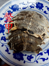 Biejia raw turtle turtle turtle turtle shell turtle shell turtle shell turtle shell deep mountain produced 2 copies