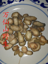 Wanxian Mountain Wild Three-leaf Xiamen Ma Taro fruit water-made ginger water-made water-made deep mountain dig 2 copies