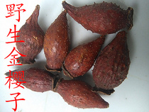 ten thousand Xianshan wild golden cherry seed Spurs Spurs Spurs Spurs Spurs Kim Inko farmhouse Self-picking 2 copies