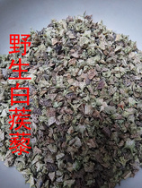 Wild Tribulus terrestris Tribulus terrestris farm picking free powder 2 copies