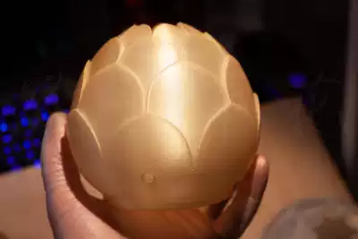 Even flower bone Crown Crown head crown hair crown Hanfu accessories ancient style hair accessories want to pick Apple flower 3D printing durable