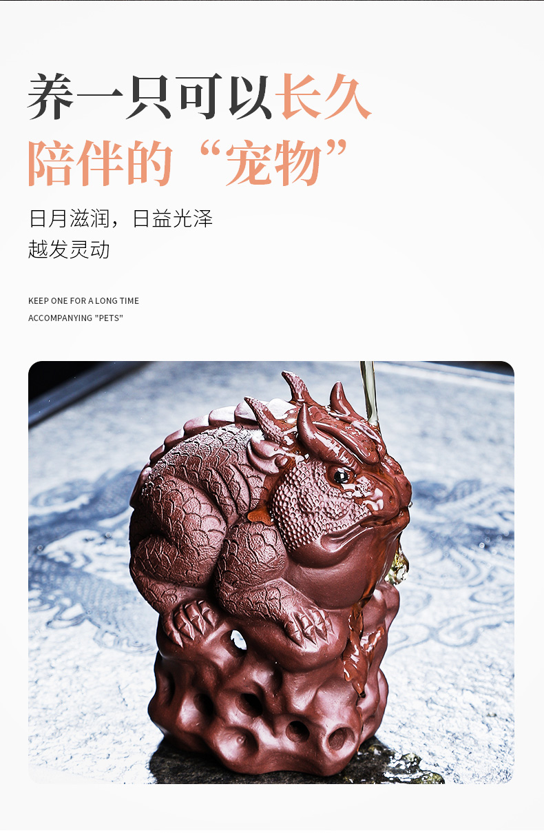 Tang Feng purple sand tea pet box to play a single household the mythical wild animal tea to raise insect tea kungfu tea furnishing articles, 190254