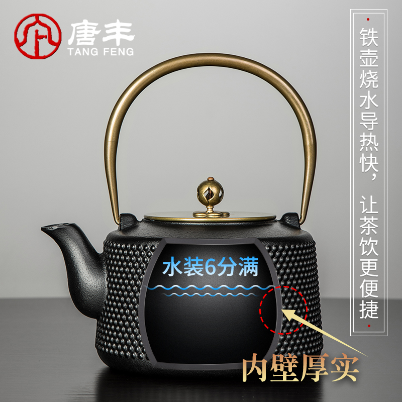 Tang Fengtie cast iron pot of cooked pot household contracted electricity TaoLu kettle electrothermal furnace boiling tea is tea stove suits for