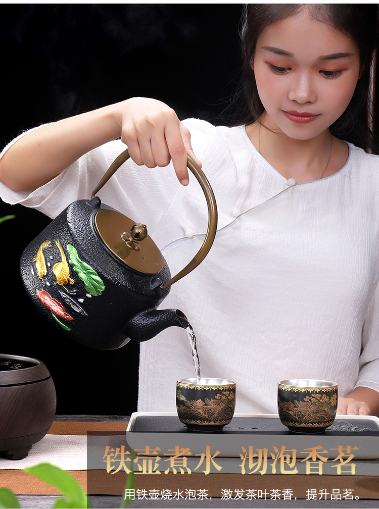 Tang Fengtie cast iron pot of cooked pot household contracted electricity TaoLu kettle electrothermal furnace boiling tea is tea stove suits for