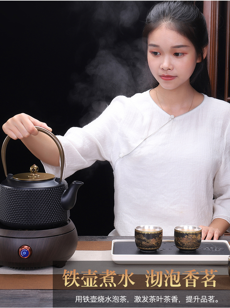 Tang Fengtie cast iron pot of cooked pot household contracted electricity TaoLu kettle electrothermal furnace boiling tea is tea stove suits for