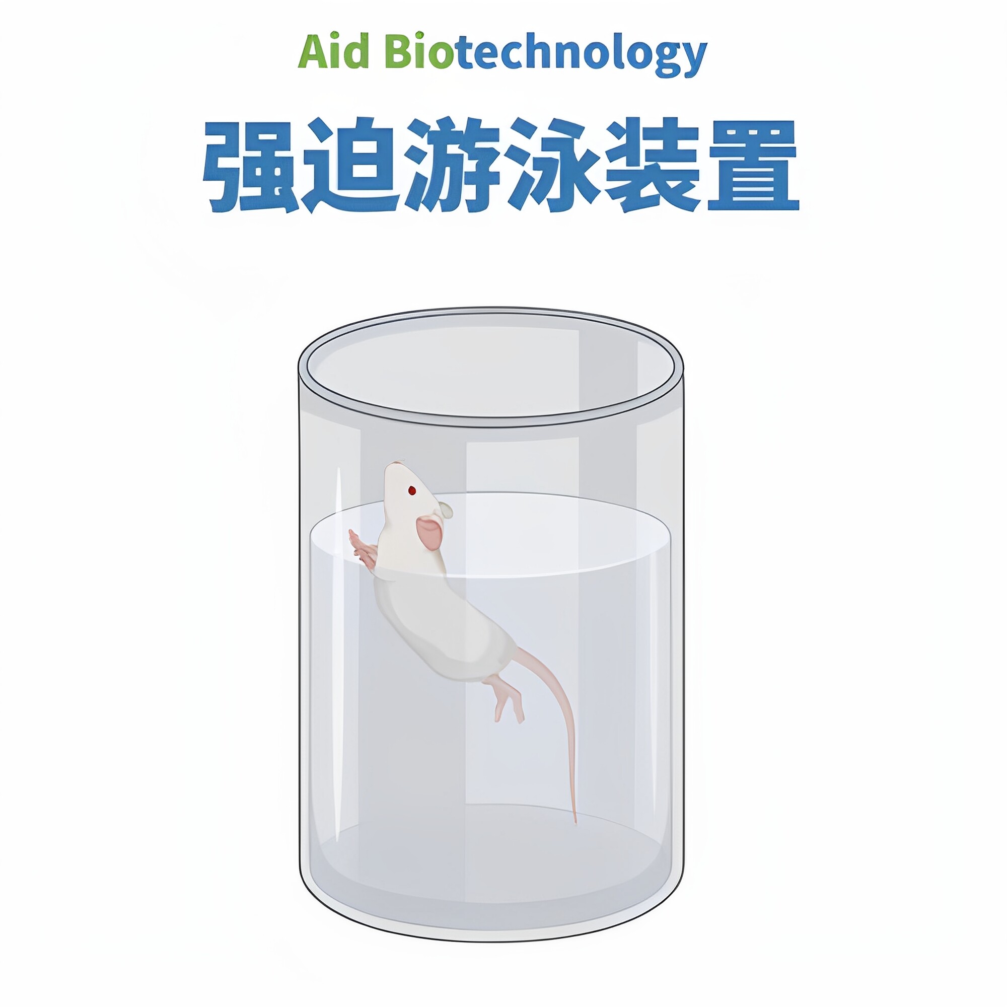 大小鼠强迫游泳桶小动物实验游泳桶生物实验行为学设备亚克力定制