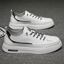 Big Code Mens Shoes 2022 New Summer 45 Breathable Sports Little White Shoes 46 Casual Flat Shoes 47 Genuine Leather Shoes Man