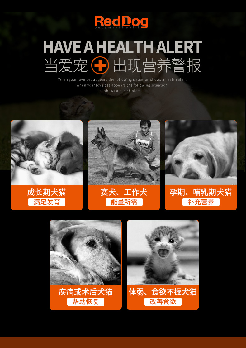 Red Red Dog Dinh Dưỡng Kem Pet Red Cat Chăm Sóc Sức Khỏe Mang Thai Pet Dinh Dưỡng Kem sữa cho chó con