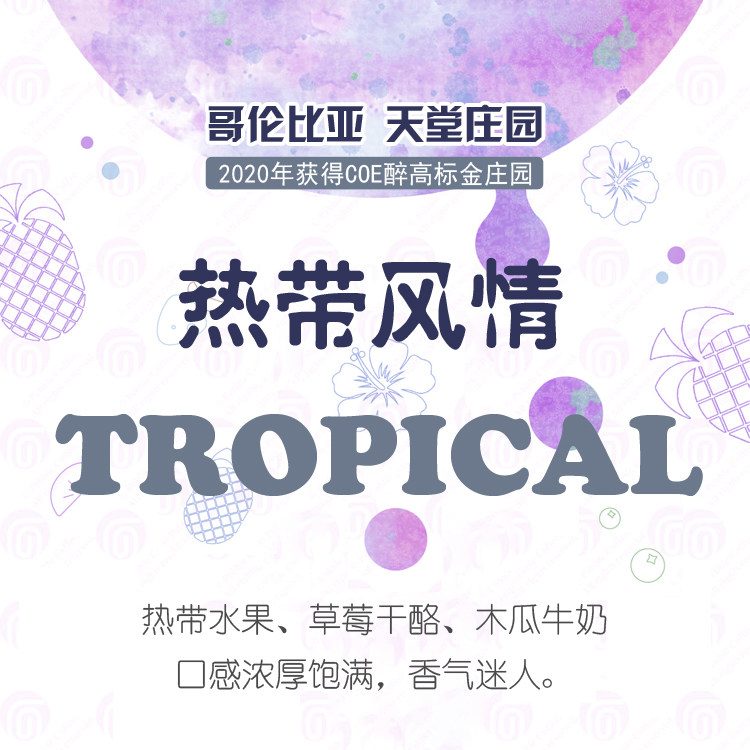 Colombia Paradise Manor Double Anaerobic Coffee Bean Powder Tropical Style 115g