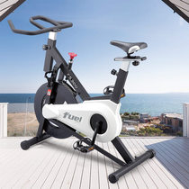 DYACO Dai Yu FS300 Imports Home Silent Dynamic Bike-riding Bike Bike Indoor Fitness