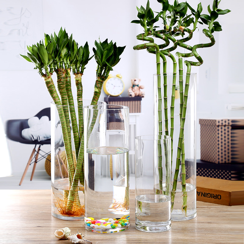 Extra Large Transparent Glass Vase Decoration Living Room Flower