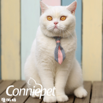 Consent Cat Tie Cat Neckline Cat Neckline Cat Bell Neckline Neckline Cat Enclosure Neck Cat Anti-Throw Bell Neckline Item Ring